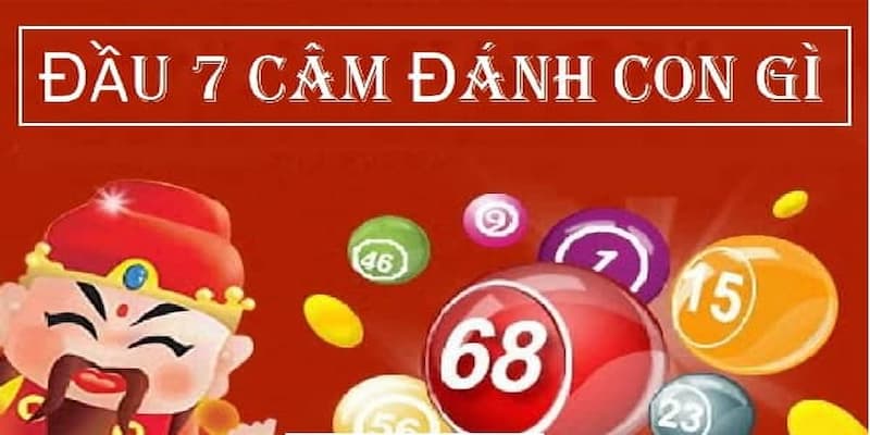 Hiểu rõ hơn về đầu 7 câm