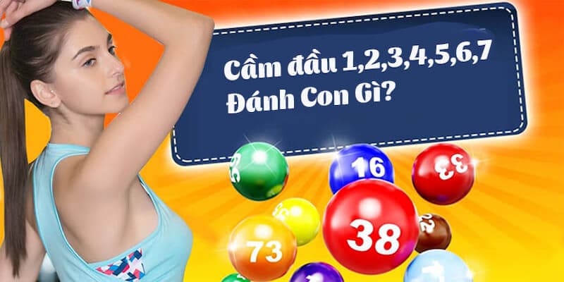 Kinh nghiệm chọn đầu 7 câm đánh con gì đúng chuẩn nhất