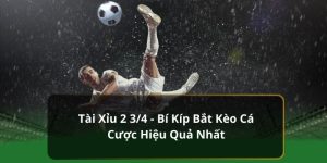 Kèo tài xỉu 2 3/4